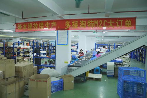 阿里M2C模式再發力 加碼淘特與淘菜菜，深耕下沉市場賦能江西中小企業網站建設