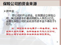 保險(xiǎn)公司的資金運(yùn)用與投資管理