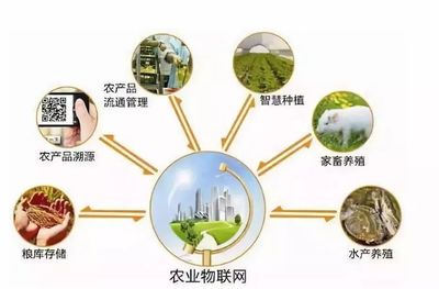 鄉(xiāng)村規(guī)劃設(shè)計丨中國農(nóng)業(yè)十大戰(zhàn)略布局 風(fēng)口、獨角獸與投資熱點深度解析
